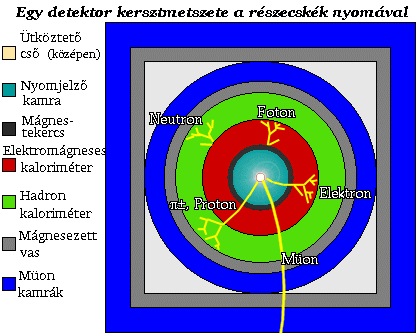 [Végérõl nézve]