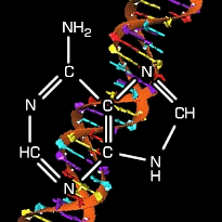 [Grafik] Struktur eines Moleküls