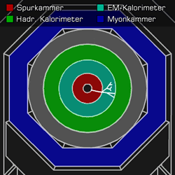 [Grafik] Querschnitt durch einen Detektor mit Spuren in der Spurkammer und im elektromagnetischen Kalorimeter.