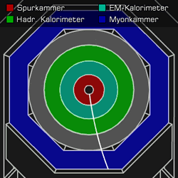 [Grafik] Querschnitt durch einen Detektor mit Spuren von innen nach ganz außen bis in die Myonenkammer