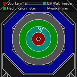 [Grafik] Querschnitt durch einen Detektor mit Spuren im elektromagnetischen Kalorimeter