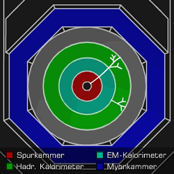 [Grafik] Querschnitt durch einen Detektor mit Spuren in Spurkammer, elektromagnetischem und hadronischem Kalorimeter