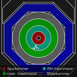 [Grafik] Querschnitt durch einen Detektor mit Spuren im elektromagnetischen Kalorimeter.