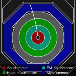 [Grafik] Querschnitt durch einen Detektor mit Spuren bis zur Myonenkammer